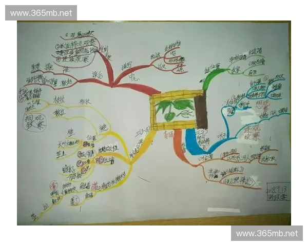 风暴英雄距离与战术布局解析 打破传统思维，提升团队协作效率